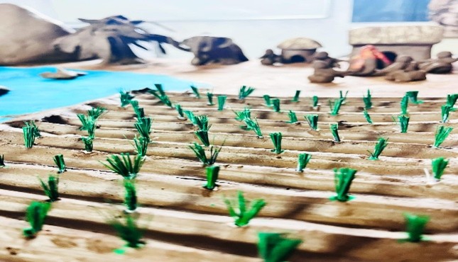 A model paddy field made by the children